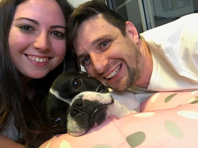 Unimpressed Dog Suffers Obsessive Humans